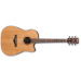 IBANEZ AW65ECE LG Elektro-akustična kitara